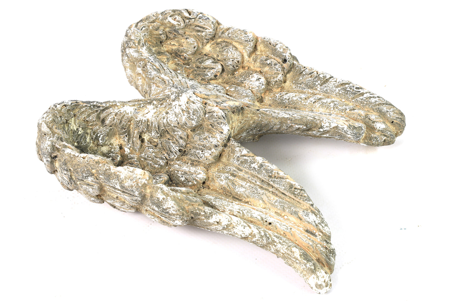 Flügel Incus M, 14x13x3,5cm, DS776756